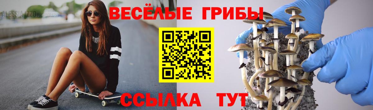 Псилоцибиновые грибы мицелий Сафоново
