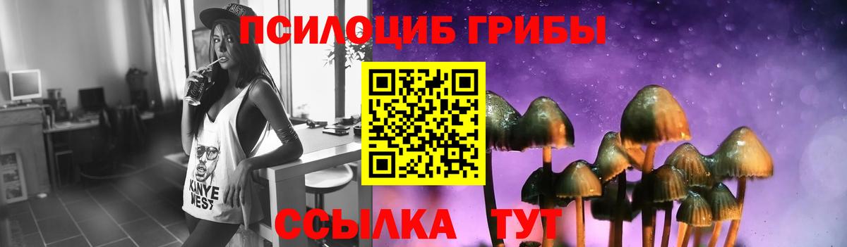 Сафоново  Псилоцибиновые грибы Psilocybe  Вход с VPN 